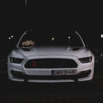 arena 24.09.2026 (20 z 88)